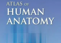 Atlas of Human Anatomy by Frank H. Netter 7th Edition PDF Free Download