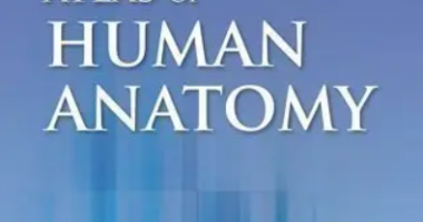 Atlas of Human Anatomy by Frank H. Netter 7th Edition PDF Free Download