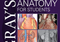 Gray’s Anatomy for Students 4th Edition PDF Free Download