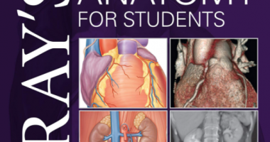 Gray’s Anatomy for Students 4th Edition PDF Free Download