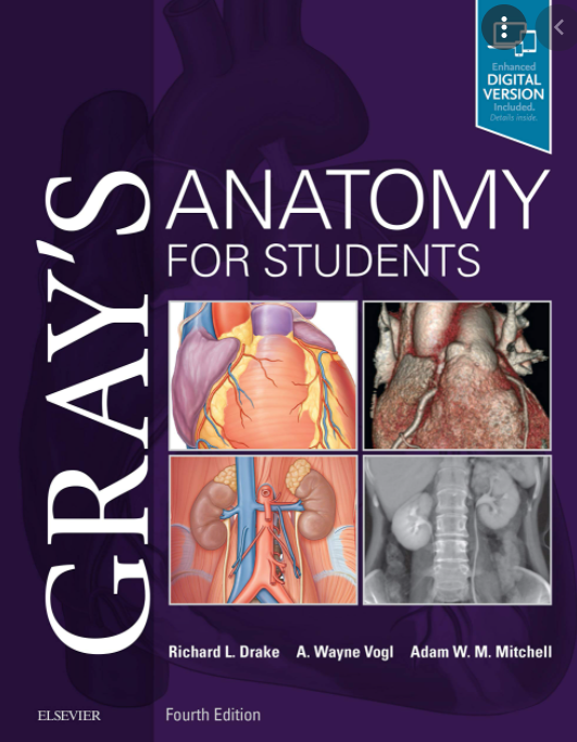 Gray’s Anatomy for Students 4th Edition PDF Free Download