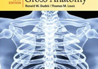 High-Yield Gross Anatomy 4th Edition PDF Free Download