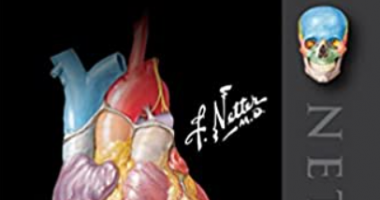 Netters Anatomy Flash Cards 5th Edition PDF Free Download