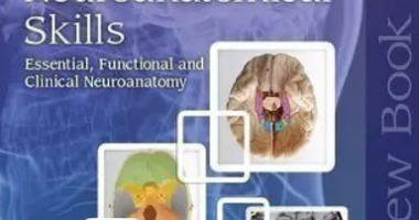 Neuroanatomy and Neuroanatomical Skills PDF Free Download