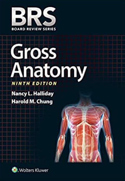 BRS Gross Anatomy 9th Edition PDF Free Download