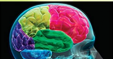 High-Yield Neuroanatomy 5th Edition PDF Free Download