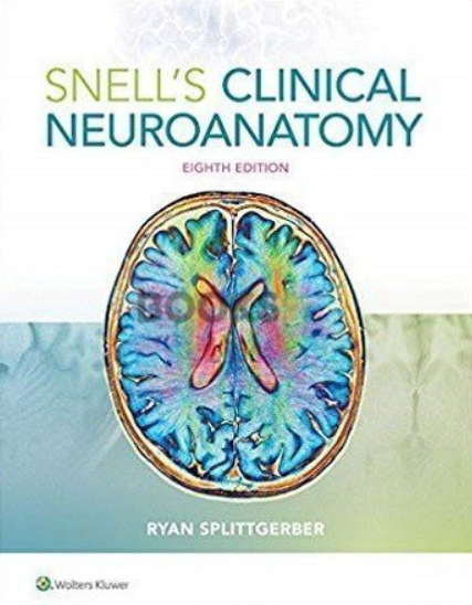 Snell’s Clinical Neuroanatomy 8th Edition PDF Free Download