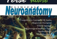 Terse Neuroanatomy - A Short Textbook 2nd Edition PDF Free Download