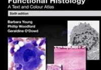 Wheater’s Functional Histology 6th Edition PDF Free Download