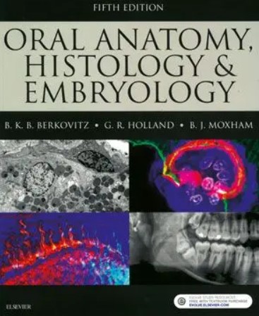 Oral Anatomy, Histology and Embryology 5th Edition by Berkovitz PDF Free Download
