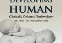 KLM Embryology Developing Human 11th Edition PDF Free Download