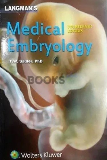 Langman’s Medical Embryology PDF Free Download